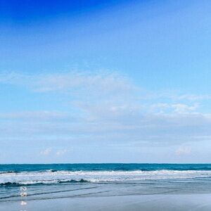 Meet your Posher, Ryann